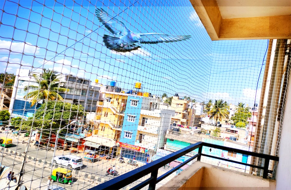 Pigeon Safety Nets in Chennai